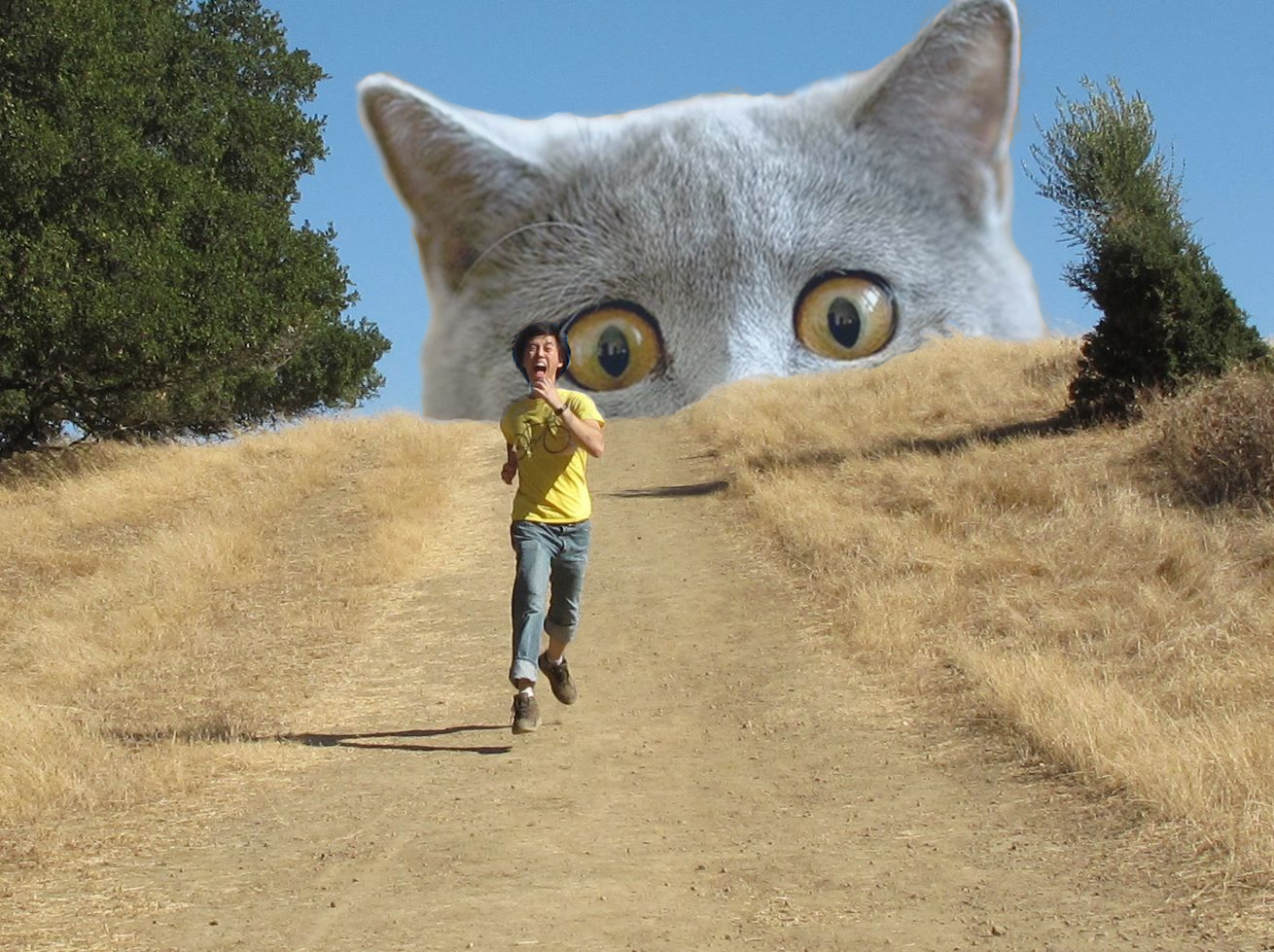 Curs Adobe Photoshop pentru Copii