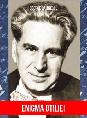George Calinescu - Enigma Otiliei (eBook)