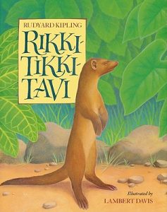 Rikki-Tikki-Tavi - KIDIBOT Knowledge Battles